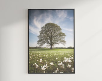 Magnifico albero di magnolia - stampa digitale