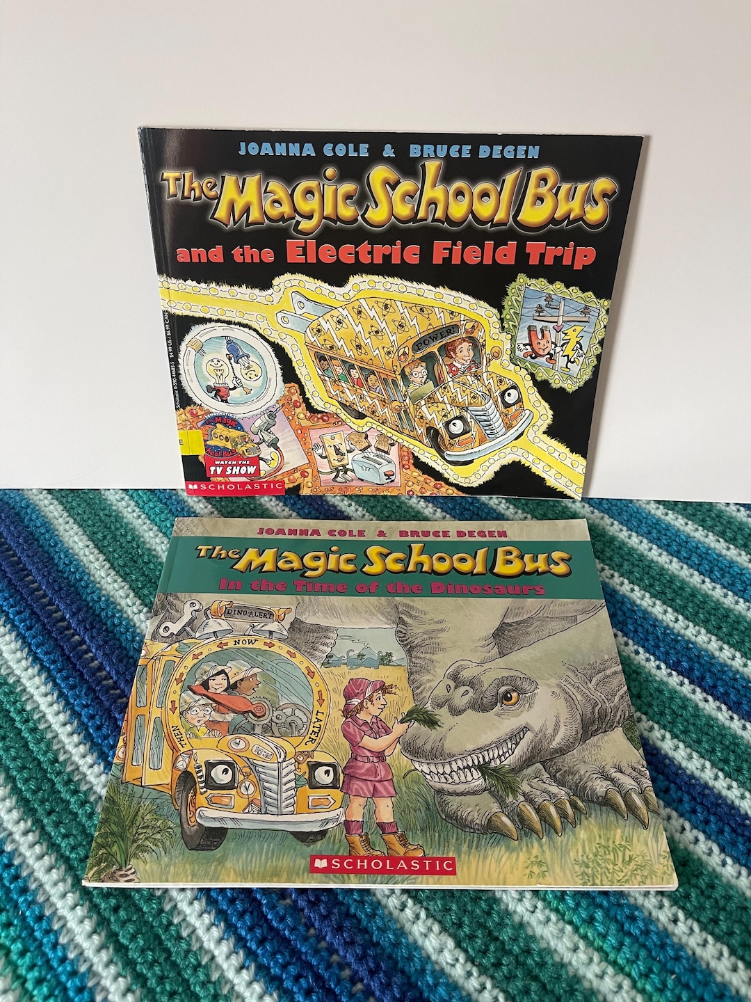 1997 the Magic School Bus Books - Etsy