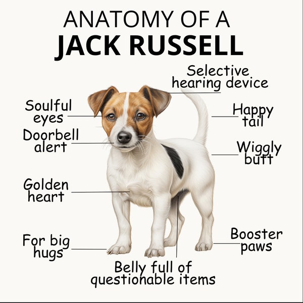 Charming Jack Russell Print with Humorous Captions - DIY Wall Art for Every Room