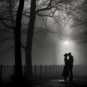 Può includere: Fotografia in bianco e nero di una coppia silhouette in un parco di notte. La coppia è in piedi vicina sotto un lampione. Alberi spogli e una recinzione in ferro battuto sono visibili sullo sfondo, con un'atmosfera nebbiosa.