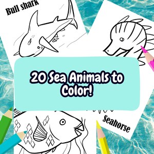 20 Ocean Animal Coloring Pages for Kids, Easy & Fun Activity Pages, Coloring Book Sea Animals, Marine Life Coloring, Ocean Coloring Book