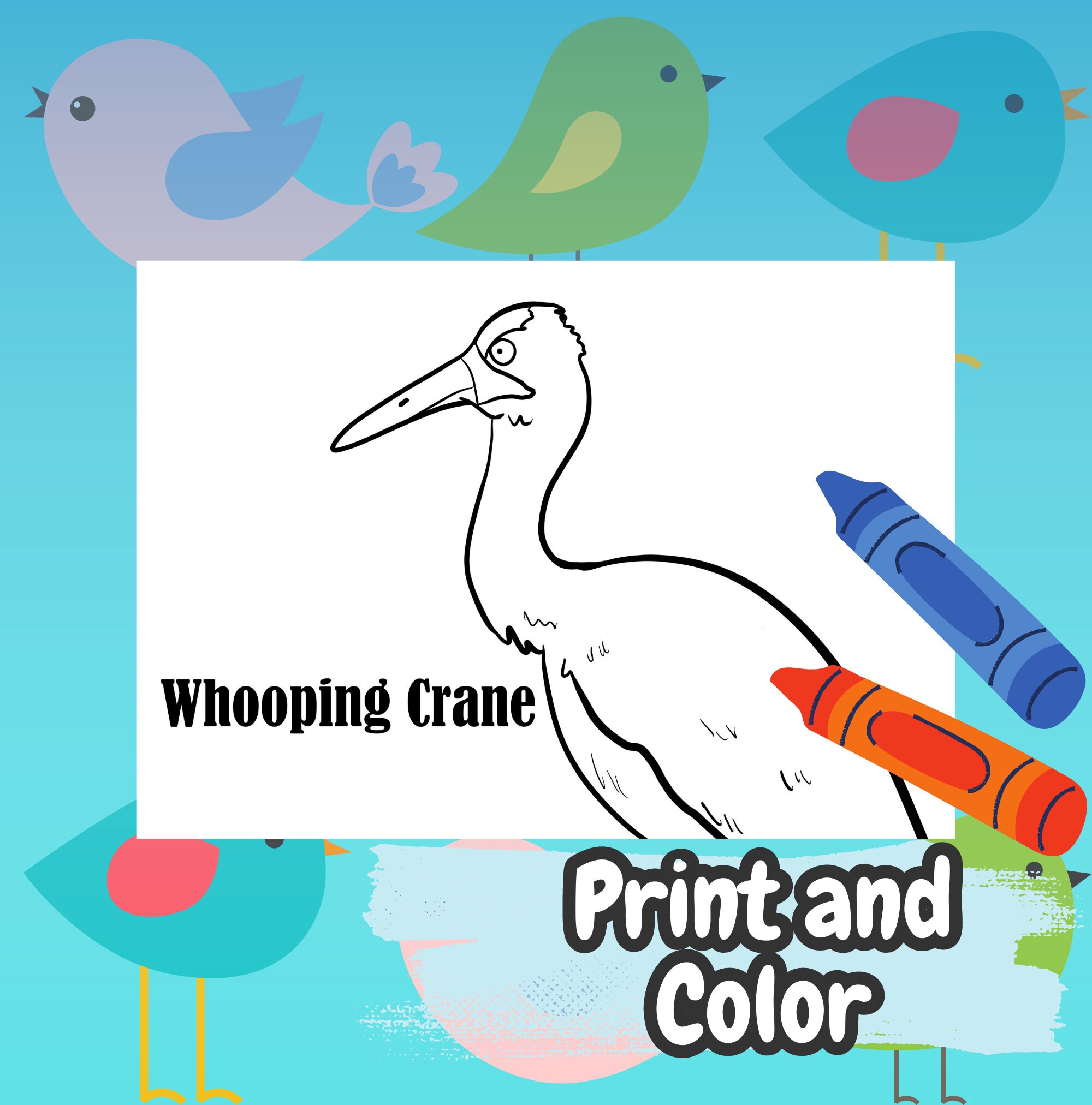 20 Wild Bird Coloring Activity Pages, Easy Animal Coloring Booklet for