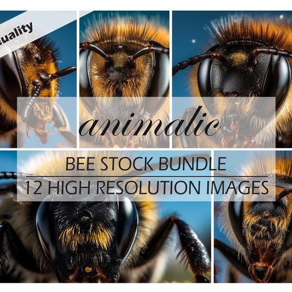 Bee, Wildlife, Stock Bundle, Mega Bundle, Stock Photo Bundle, Mockup Bundle, Sky, Nature, Outdor, Wild animals, Animal, wasps, bumblebee