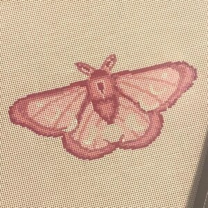 May include: A cross-stitch design featuring a pink moth with detailed wing patterns. The moth is centered on a beige canvas with a grid-like texture. The canvas is framed with a dark border, showcasing a handcrafted textile art piece.