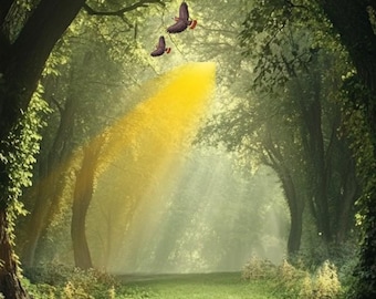 Magical Forest Clip Art Bundle | Junk Journal, Scrapbook (PDF)