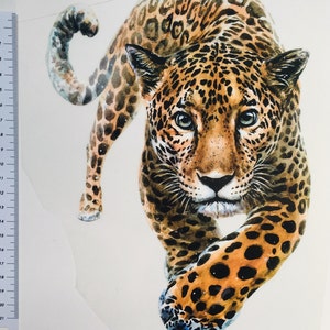 Könnte beinhalten: Ein Aquarellbild eines Jaguars, der auf den Betrachter zugeht. Der Jaguar hat ein geflecktes Fell mit braunen, orangefarbenen und schwarzen Markierungen. Der Hintergrund ist weiß.