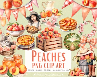 36 Peaches PNG Clipart Transparent Background Instant Download, Commercial Use POD, Watercolor Rustic Country Kitchen Peach Clipart bundle