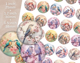 May include: A collection of round, glass cabochons featuring watercolor illustrations of birds perched on flowering branches. Sizes include 1 inch (25mm), 1.2 inch (30mm), and 1.5 inch (38mm) diameter. The artwork showcases various bird species in shades of blue, orange, and red.