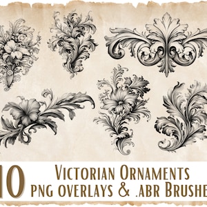 Victorian Ornaments PNG Overlays and Brushes | Photoshop, Procreate, Gimp, Photopea ABR brushes | floral & damask ornaments, Commercial Use