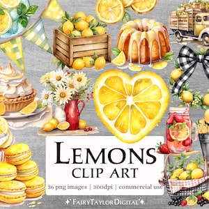 36 Limão PNG clipart | Fundo transparente, download instantâneo | POD para uso comercial | Pacote de clipart de frutas e limão em aquarela rústica