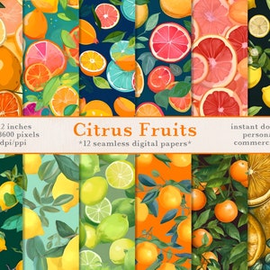 Patrones sin costuras: frutas cítricas / Papeles digitales de descarga instantánea x12 / Papel de álbum de recortes imprimible para uso comercial