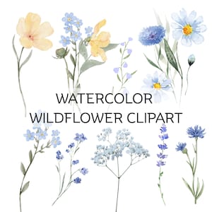 Wildflowers Clipart, Wild flower PNG, Watercolor Summer Flowers, Colorful Bouquets, Floral Clipart, Watercolor Flowers Elements PNG