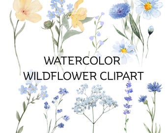 Watercolor Wildflowers Clipart, Floral Bouquet PNG (Digital Download)