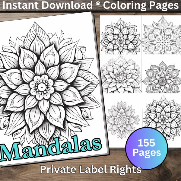 155 Mandala Coloring Pages to Use or Sell Wall Art Templates Canva Insta Template for Digital Wall Art Sales