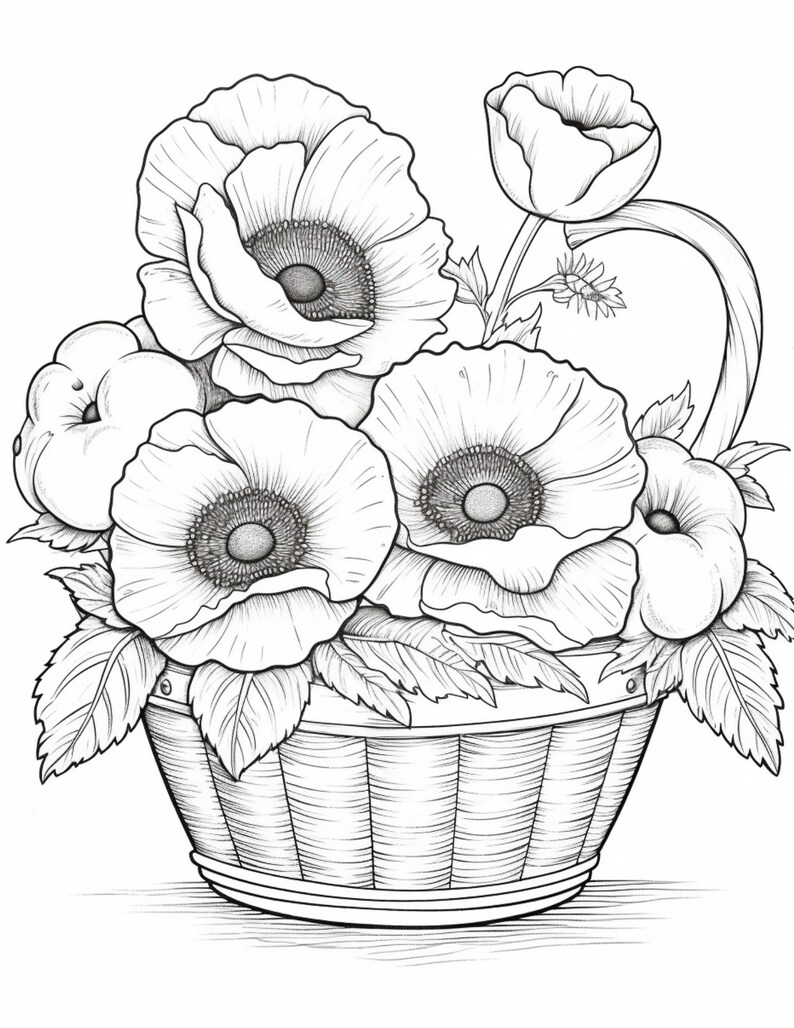 165 August Birthday Flower Poppies Coloring Book Pages Amazon KDP PLR 165 august birthday flower poppies coloring book pages amazon kdp plr