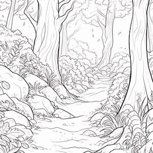 May include: A black and white line drawing of a forest path with trees on either side. The path is lined with rocks and foliage.