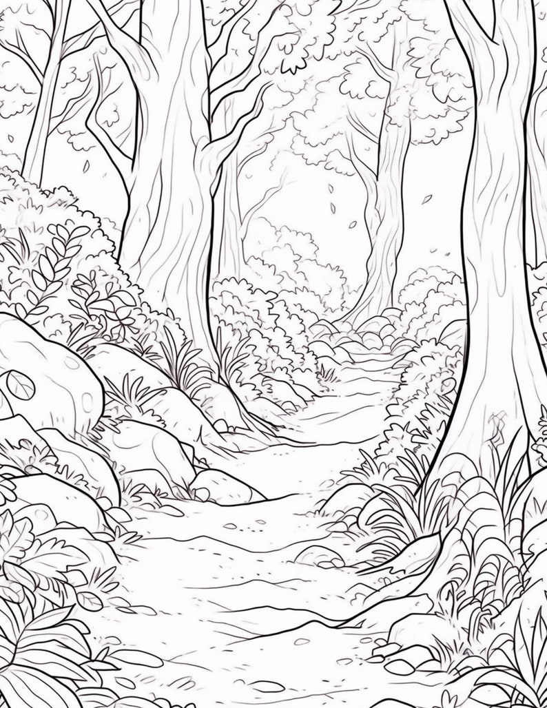 May include: A black and white line drawing of a forest path with trees on either side. The path is lined with rocks and foliage.