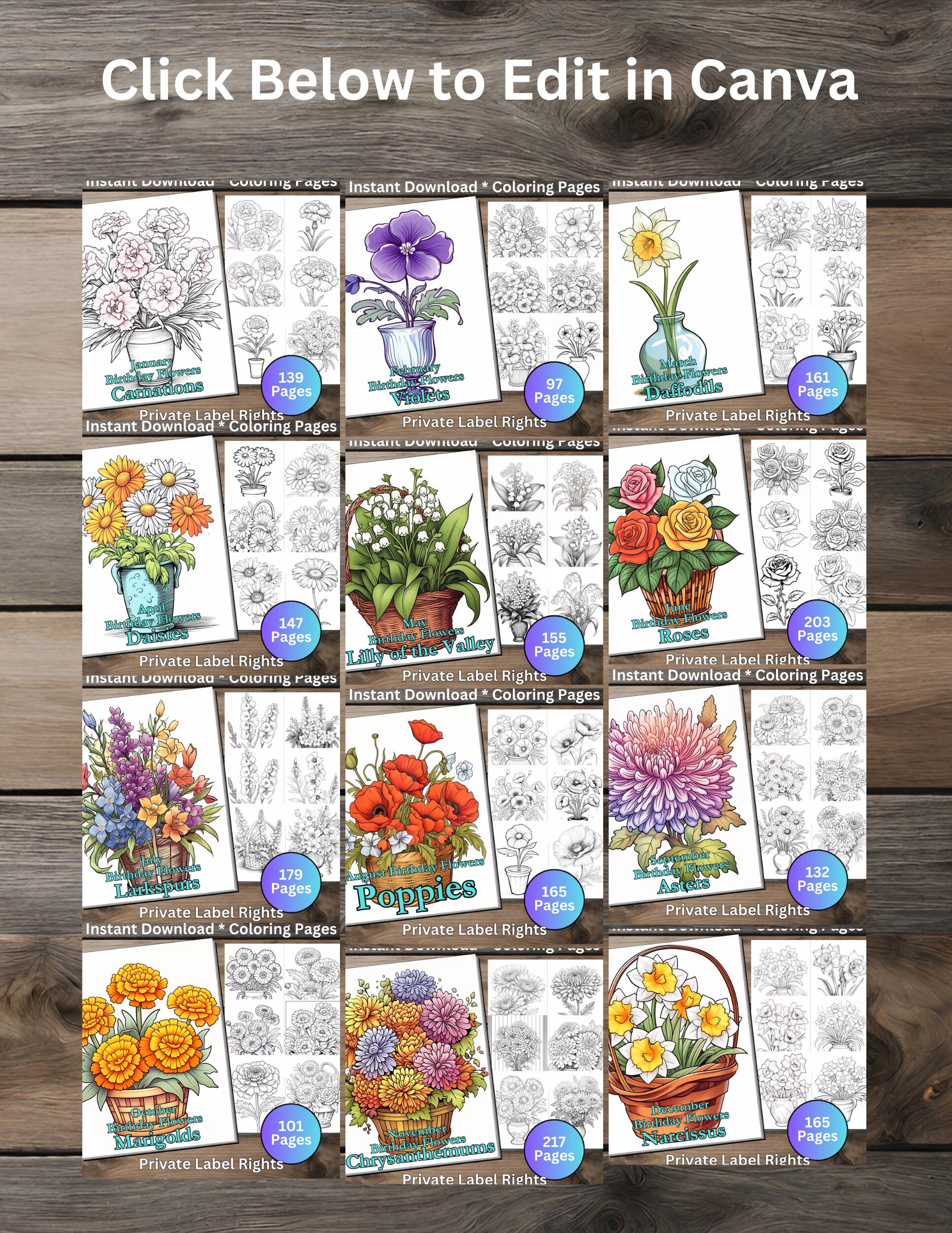Coloring Book Pages Whole Shop Bundle 18,205 pieces colouring sheets ...