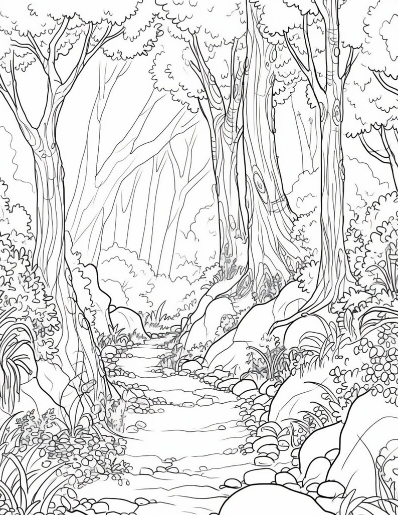 May include: A black and white line drawing of a forest path with a stream running through it. The path is lined with trees and rocks, and there is a lot of foliage on either side.
