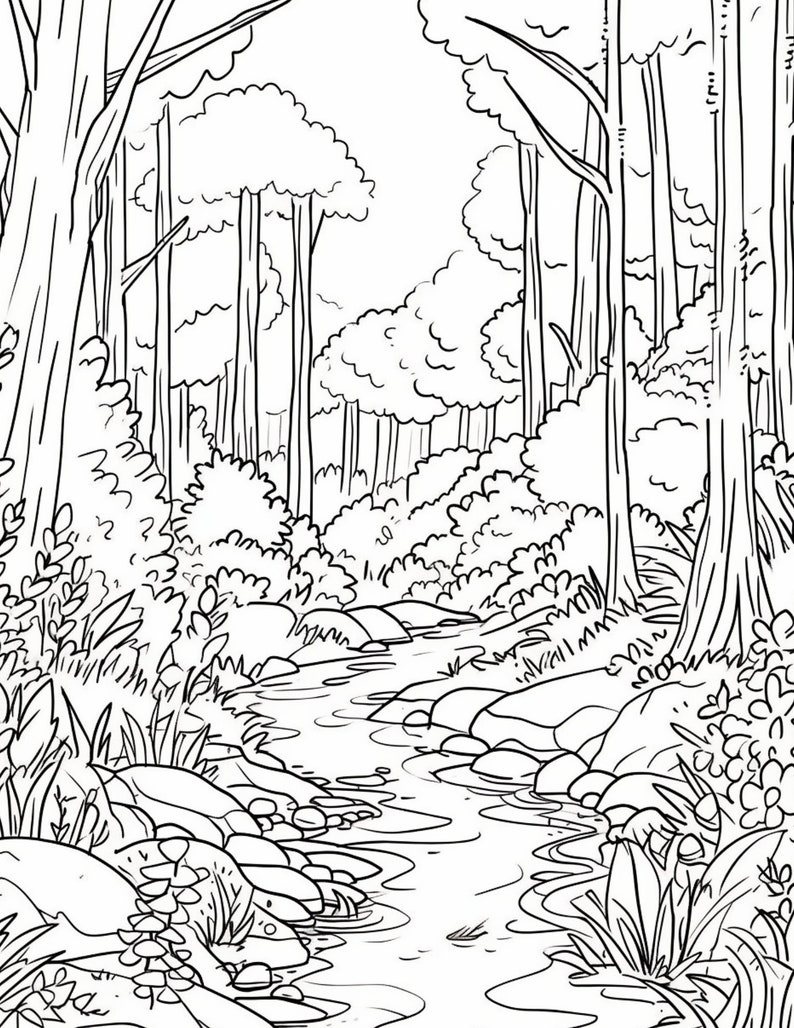 May include: A black and white line drawing of a forest scene with a winding stream running through it. The stream is surrounded by rocks and trees.