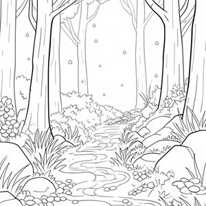 May include: A black and white line drawing of a forest path with a stream running through it. The path is lined with trees and bushes, and there are rocks and pebbles along the stream.