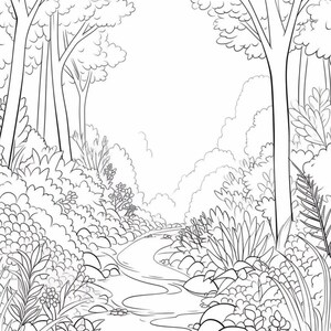 May include: A black and white line drawing of a forest path with a stream running through it. The path is lined with trees and bushes on either side. The stream is winding and has rocks in it.