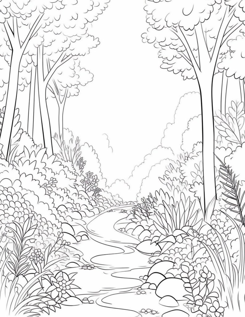 May include: A black and white line drawing of a forest path with a stream running through it. The path is lined with trees and bushes on either side. The stream is winding and has rocks in it.
