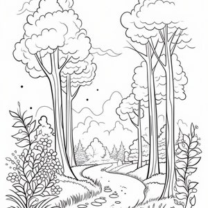 May include: A black and white line drawing of a winding path through a forest. The path is lined with large trees and smaller bushes. The path is made of stones and leads to a clearing in the distance.