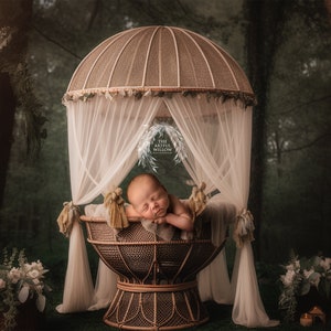 The &#39;Hunter&#39; Digital Backdrop collection (SET OF 5 stunning boho woodland hot air balloons for newborn photography)