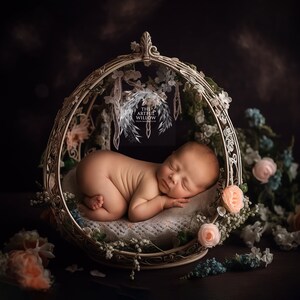 The &#39;Harley&#39; Digital Backdrop collection (SET OF 5 stunning intricate lace and flora nests for newborn photography)