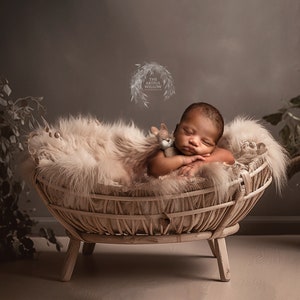 The 'Alena' Digital Backdrop collection (SET OF 5 stunning floral boho cradle backdrops for newborn, child and pet photography)