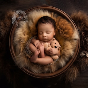 The &#39;Ernest&#39; Digital Backdrop collection (SET OF 5 stunning bowl backdrops for newborn photography)