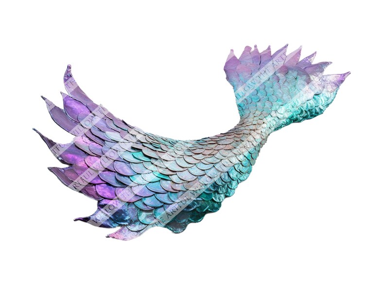 The 'ariel' Mermaid Tail Overlay Collection SET OF 6 Etsy