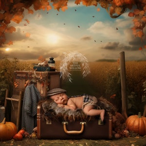 The 'Fawn' Digital Backdrop collection (SET OF 5 stunning autumnal vintage suitcase backdrops for newborn and baby photography)