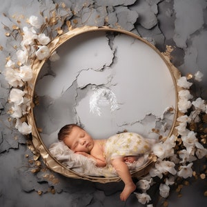 The &#39;Xanthia part 2&#39; Digital Backdrop collection (SET OF 5 modern marble backdrops with flora and golds for newborn and baby photography)