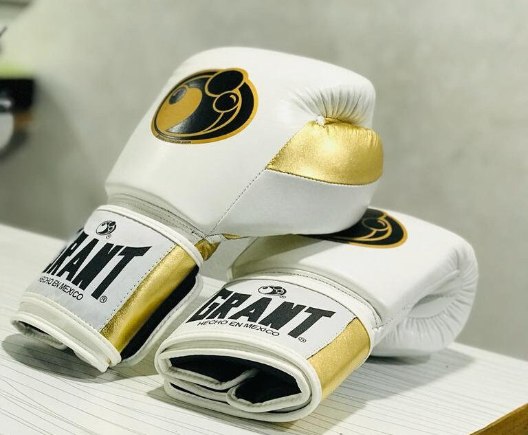 Grant Boxing Gloves lupon.gov.ph