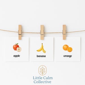 Flashcard di frutta acquerellata - Schede didattiche stampabili per bambini - Download digitale - Little Calm Collective