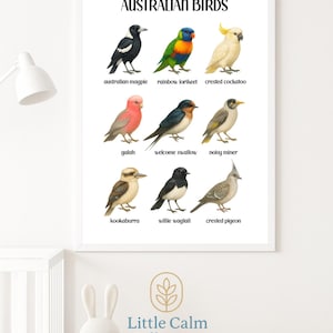Australian Birds Poster – Watercolour Bird Print for Kids Room, Nursery or Classroom – Aussie Wildlife Wall Art Digital Download