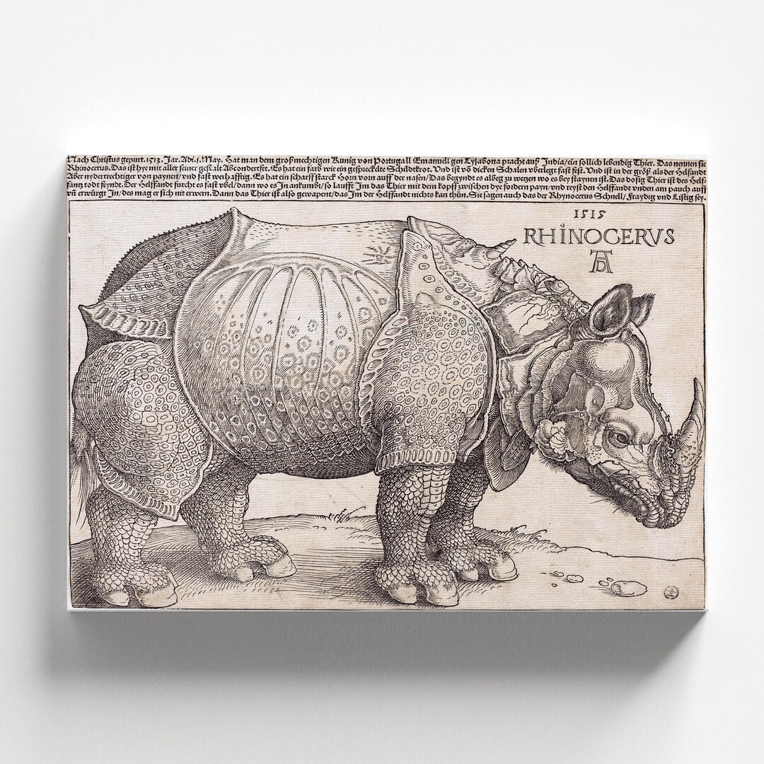 The Rhinoceros by Albrecht Dürer 1515 | Renaissance Art Print (B4218 ...