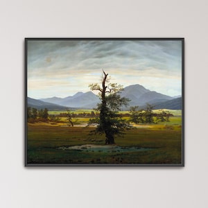 Lámina "Árbol solitario" de Caspar David Friedrich / Escena de campo apacible, lámina "Árbol solitario" (B3971)