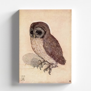 The Little Owl by Albrecht Dürer 1506 | Renaissance Art Print (D0364)