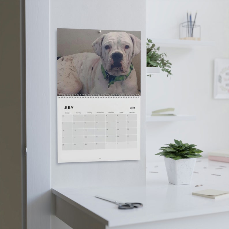 Calendar 2024 Calendar Dog Rescue Calendar Birthday Gift Etsy