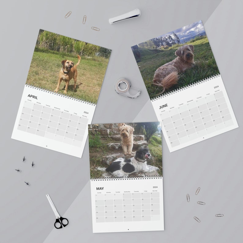Calendar 2024 Calendar Dog Rescue Calendar Birthday Gift Christmas Gift