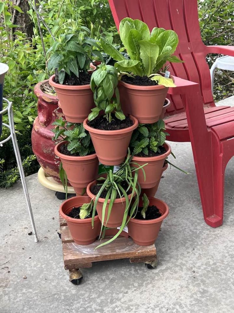 Puede incluir: Una jardinera escalonada de color terracota llena de varias hierbas y verduras de hoja verde. Las macetas apiladas se asientan sobre un peque&ntilde;o palet de madera con ruedas, creando un jard&iacute;n vertical. Una silla de pl&aacute;stico roja est&aacute; en el fondo.