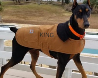Carhartt dog hot sale chore coat orange