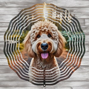Op de afbeelding: Een metalen windmolen met een cirkelvormig ontwerp met een bruine en witte hond met zijn tong naar buiten. De hond is scherp in beeld en de achtergrond is wazig.