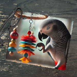 May include: A grey African grey parrot with a colourful toy hanging above it. The parrot is perched on a branch and looking at the toy.
