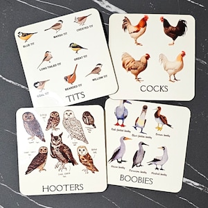 May include: Four square coasters with bird illustrations. One coaster features various tit species with the word "TITS". Another shows roosters with the word "COCKS". A third coaster displays owls with the word "HOOTERS". The last coaster shows boobies with the word "BOOBIES".