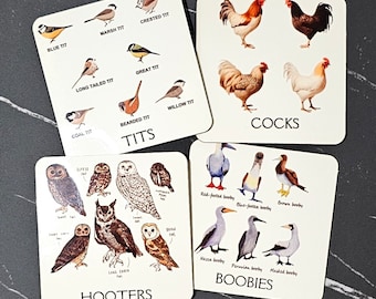 Funny birds drink coasters - set of 4