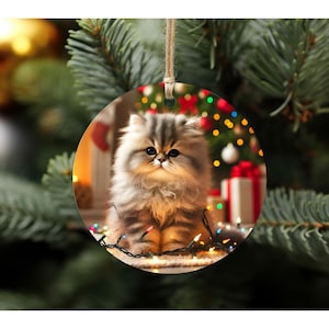 Cat Lover Ornament: Persian Kitten Holiday Decor (Aluminum, Ready to Hang)